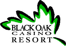 Black oak.jpg
